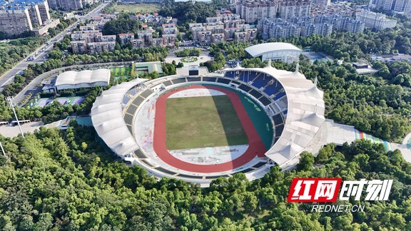 中表现亮眼, 添更多精彩